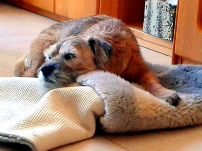 Frühjahrsmüdigkeit