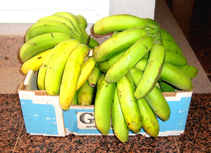 platanos